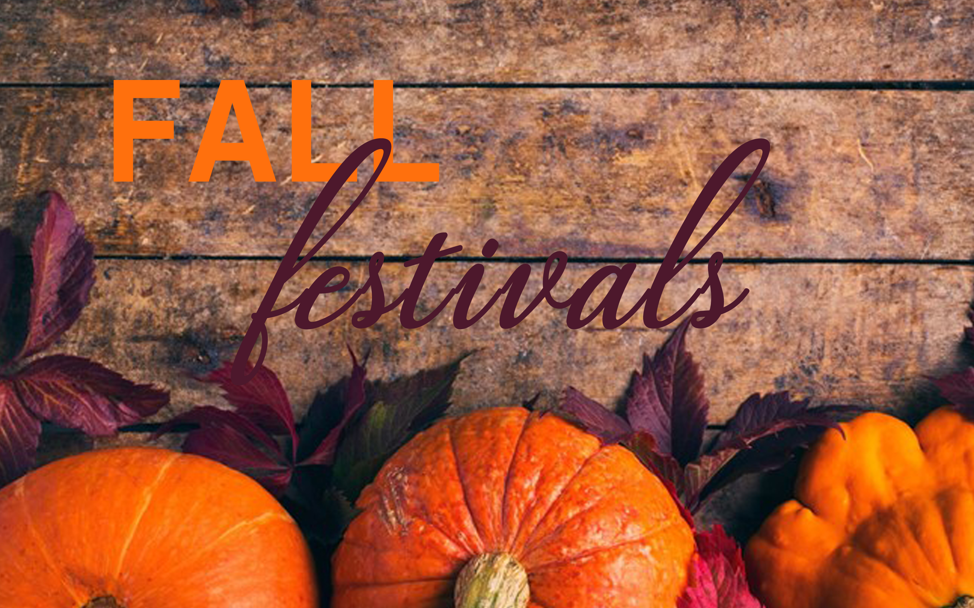 Fall Festivals in Colorado